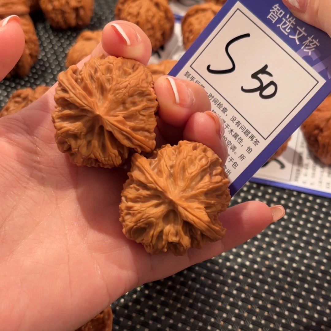 核桃S50号苹果园40尺