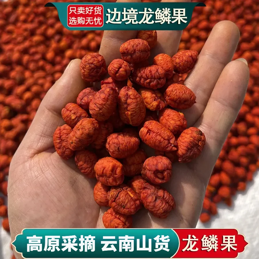 正宗龙鳞果新货精选高山好货可可西里龙鳞果参泡酒泡水喝另售山药