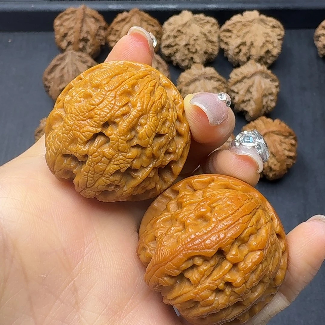 桃木突突突突突突