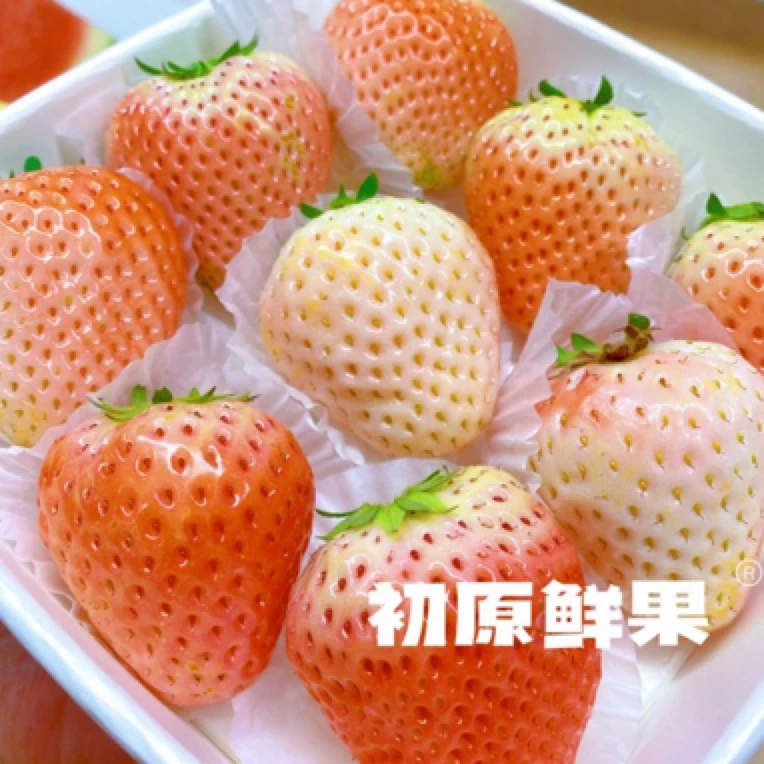 果切同城送粉玉草莓一盒整果9颗果王