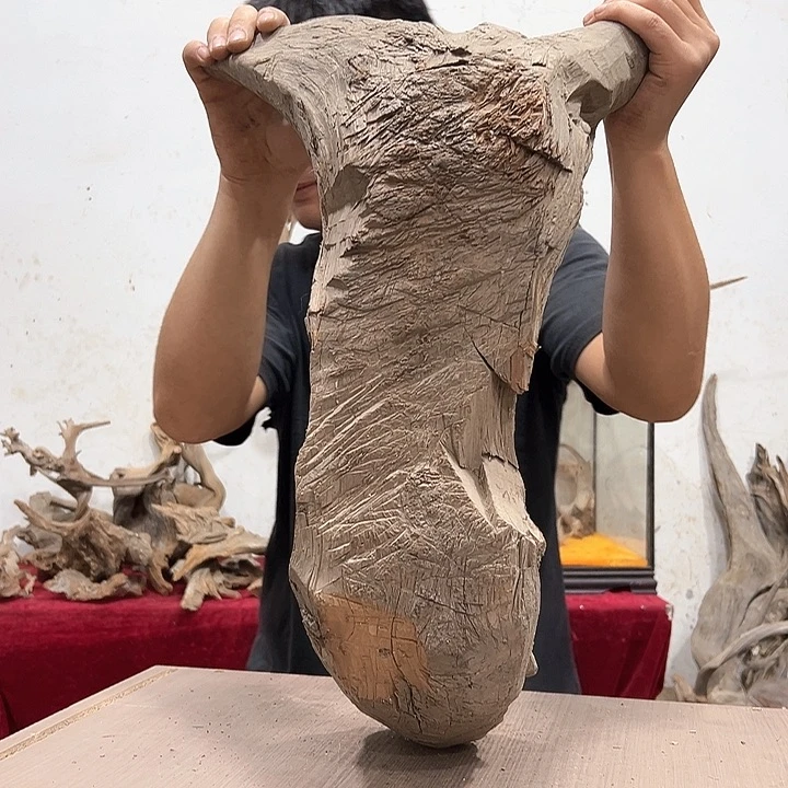 柏木郭*理我们的生活是以自己