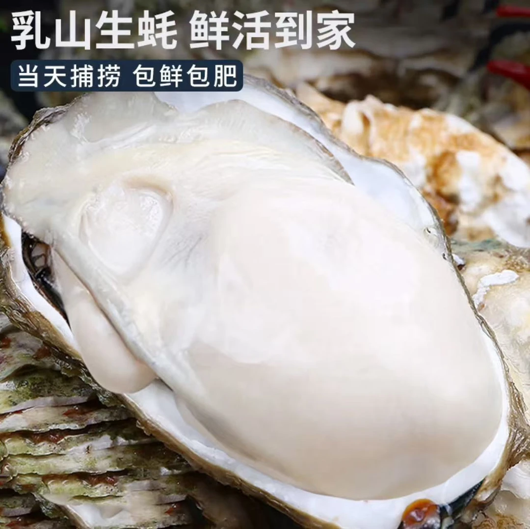 【限量】正宗鲜活生蚝超大新鲜带壳牡蛎特大海蛎子肉质肥美五斤装