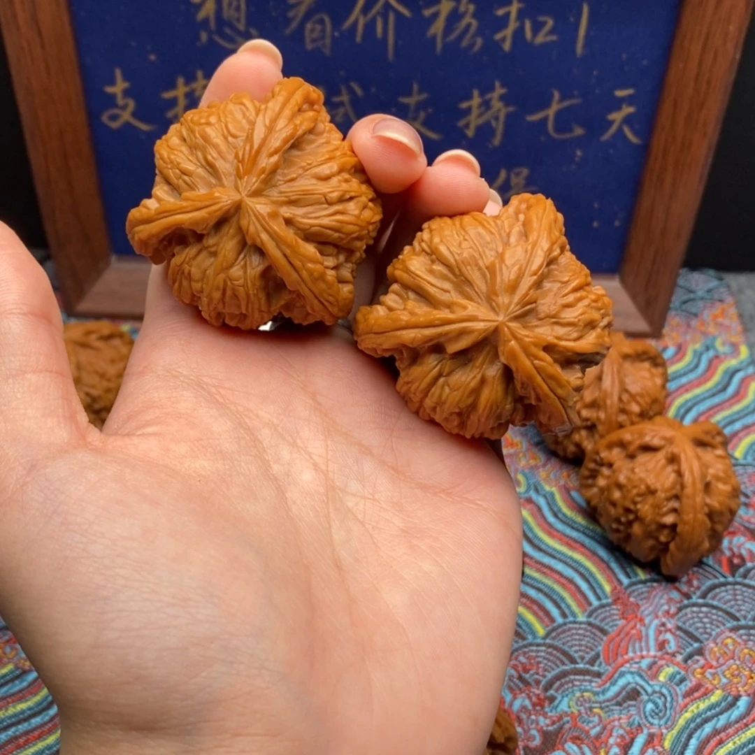 【闪购商品】迷**生白狮