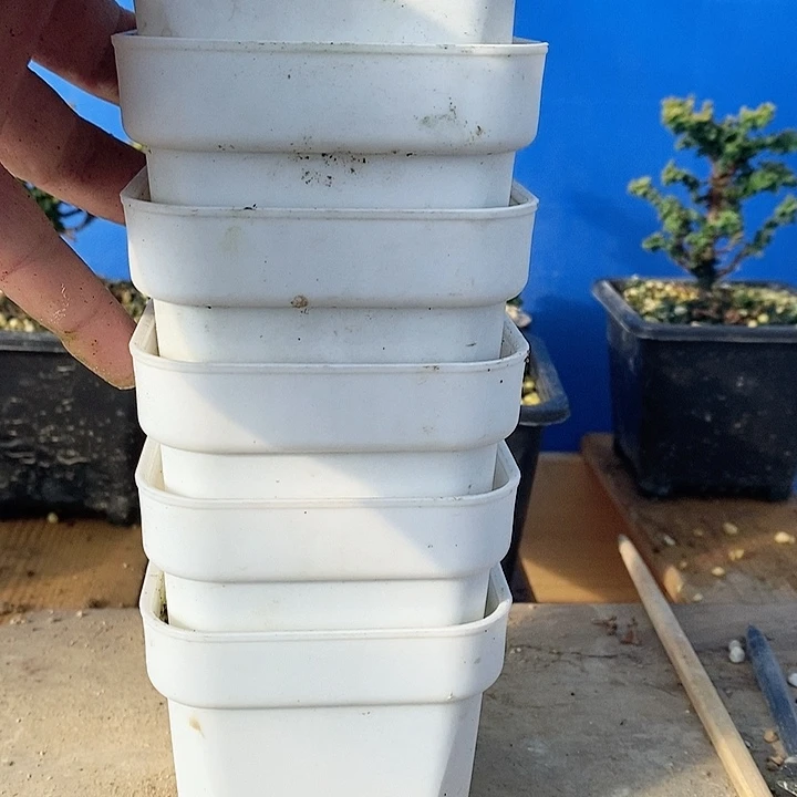 红陶楼*塑料花盆六个