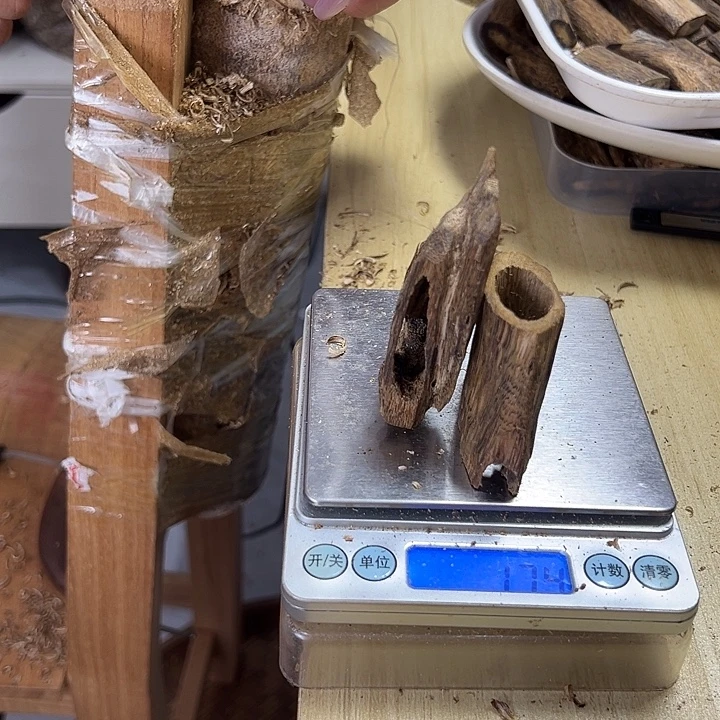 香料绿奇楠虫漏17克白棋