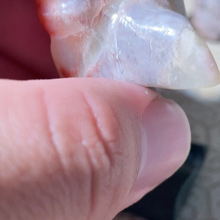 一***理瓷片哈哈哈哈哈哈哈哈哈哈哈哈