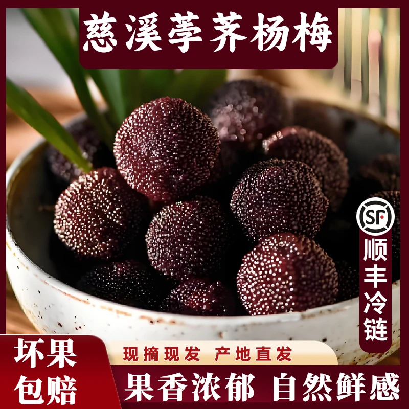 慈溪杨梅240颗5斤正宗新鲜荸荠杨梅余姚孕妇水果当季鲜果顺丰冷链