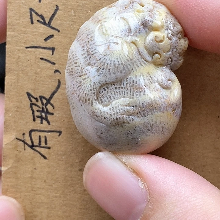 颈饰未镶嵌硅化珊瑚（珊瑚玉）