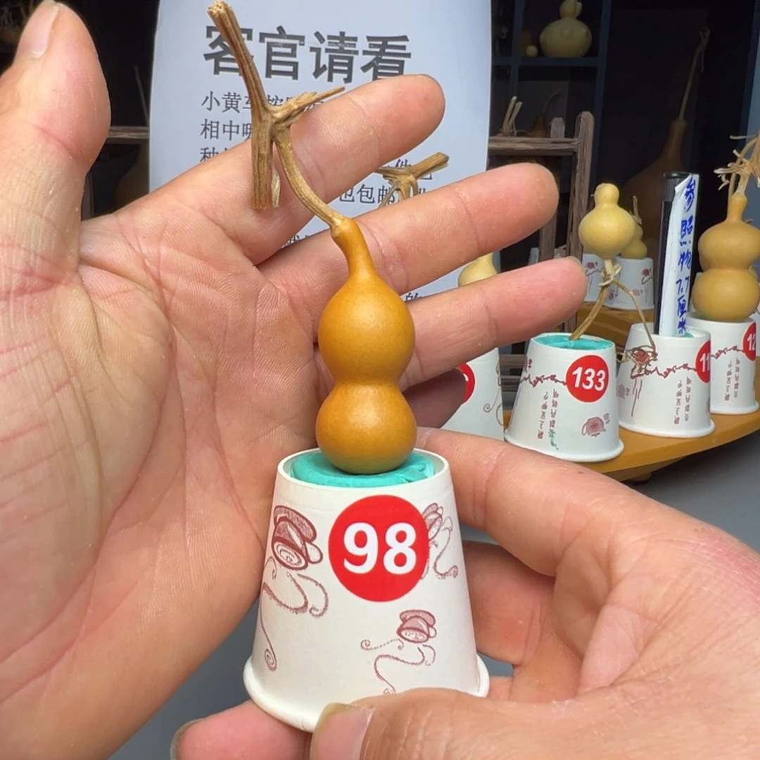 闪电购自助下单编号98