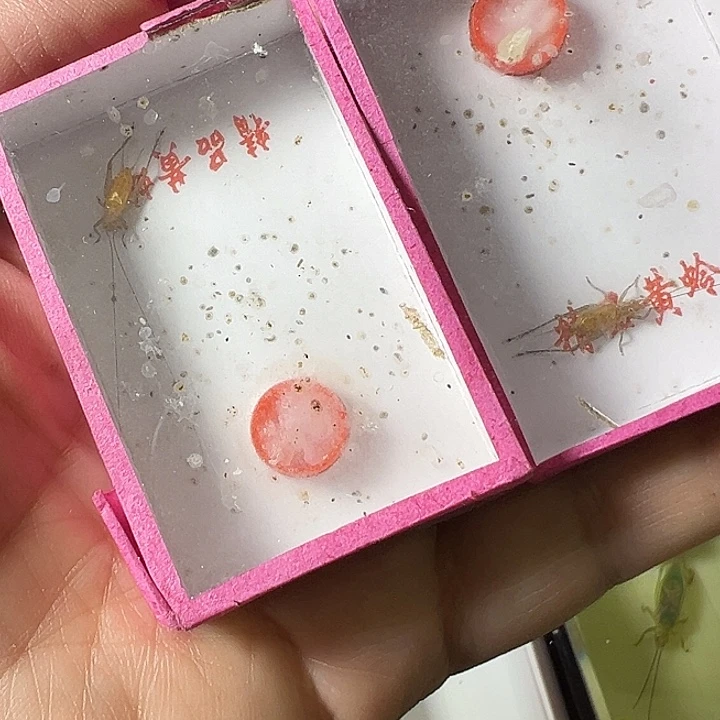 东***虎蟋蟀哈哈哈哈哈哈哈哈哈哈哈