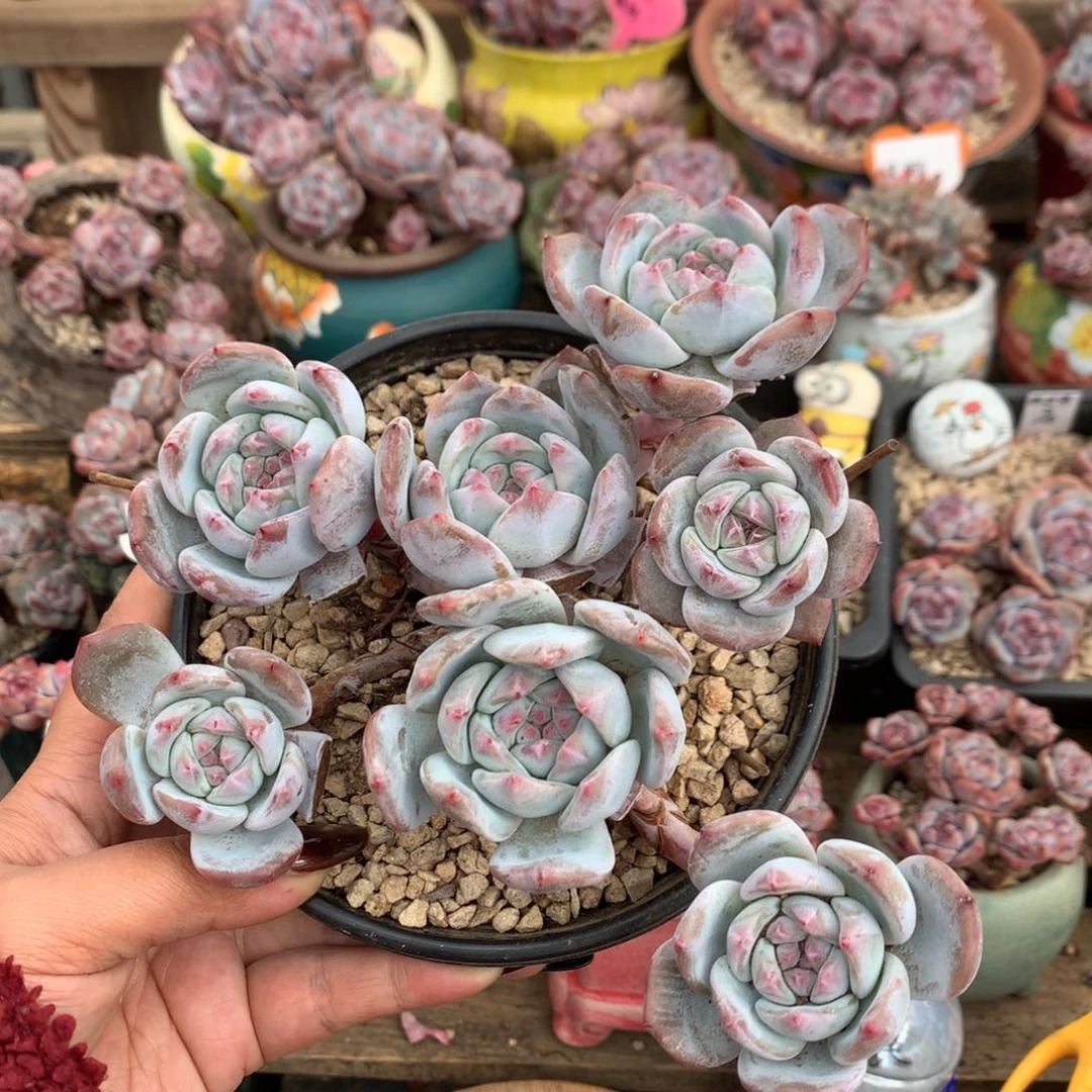 哈哈哈哈哈哈哈23