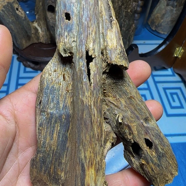 木绿奇陆河虫漏40克