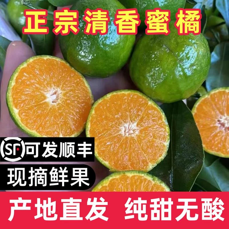 桂林清香橘纯甜无酸蜜橘茶橘子清香蜜桔砂糖橘巴西桔清香茶橘顺丰