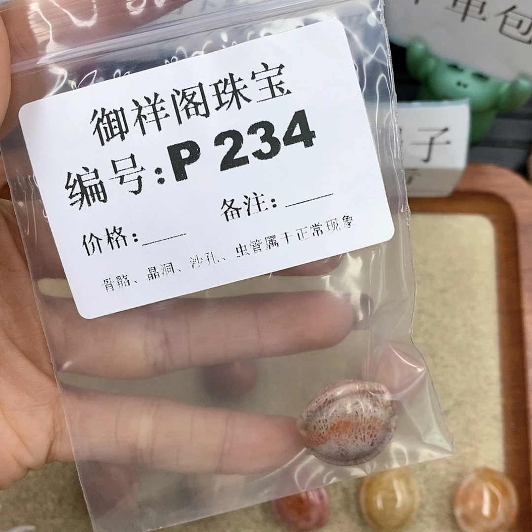 硅化珊瑚（珊瑚玉）P未镶嵌雪*?