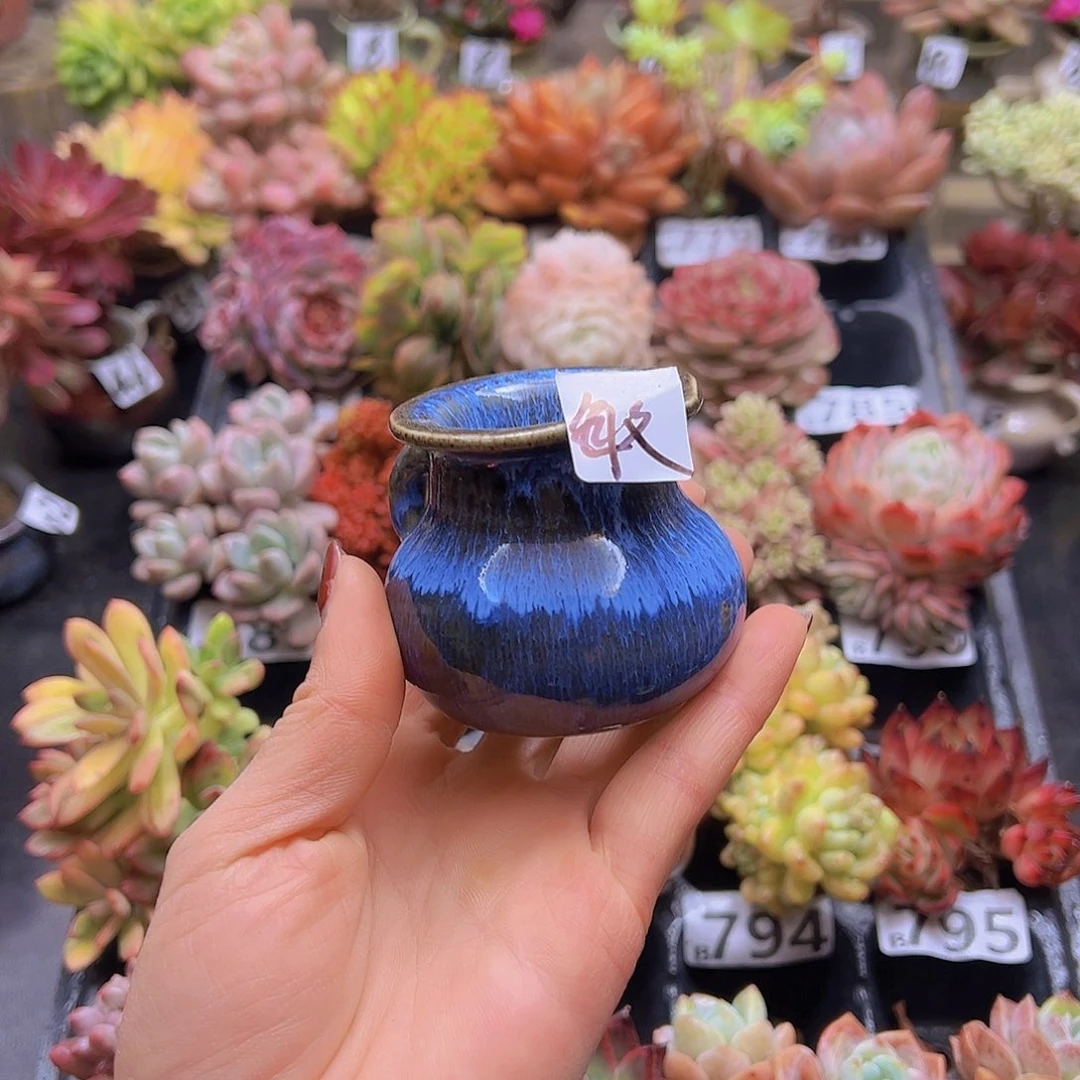 无铅玻璃M***敏花钱花钱花钱花钱