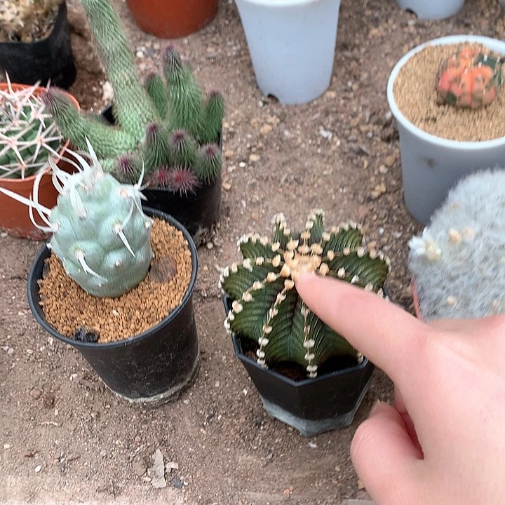 ?****懂333333333333333333