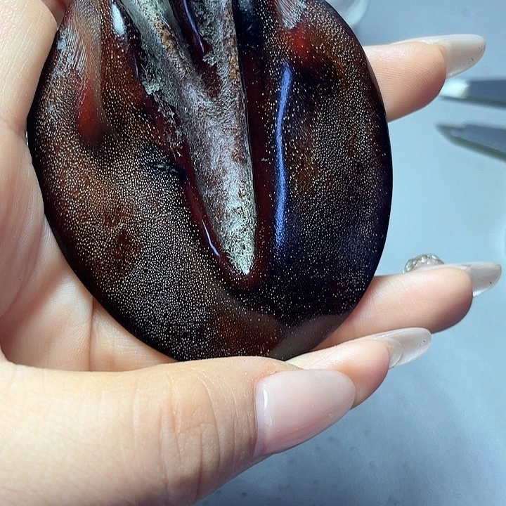 大果紫檀（缅甸花梨）