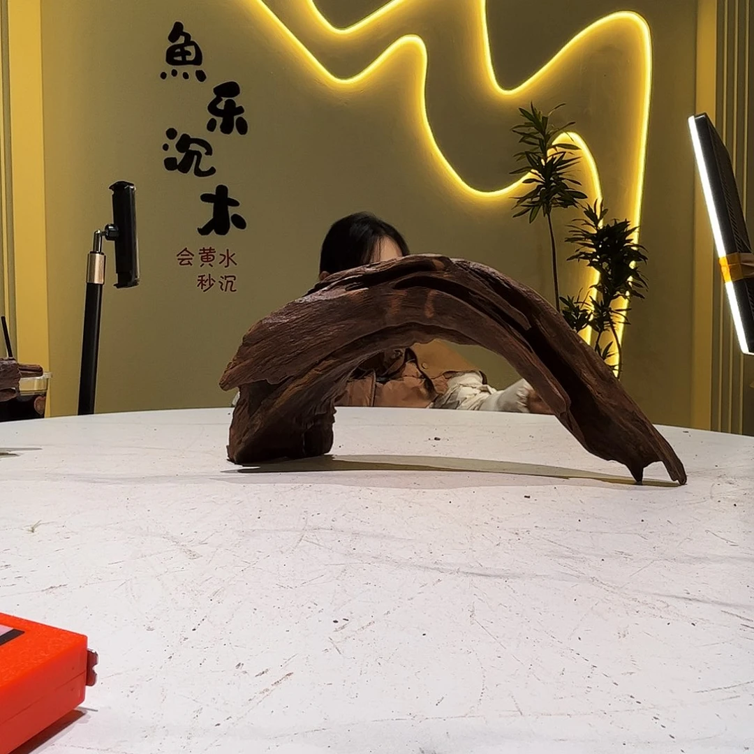 瓦当听*会黄黑红水832。40 12 19