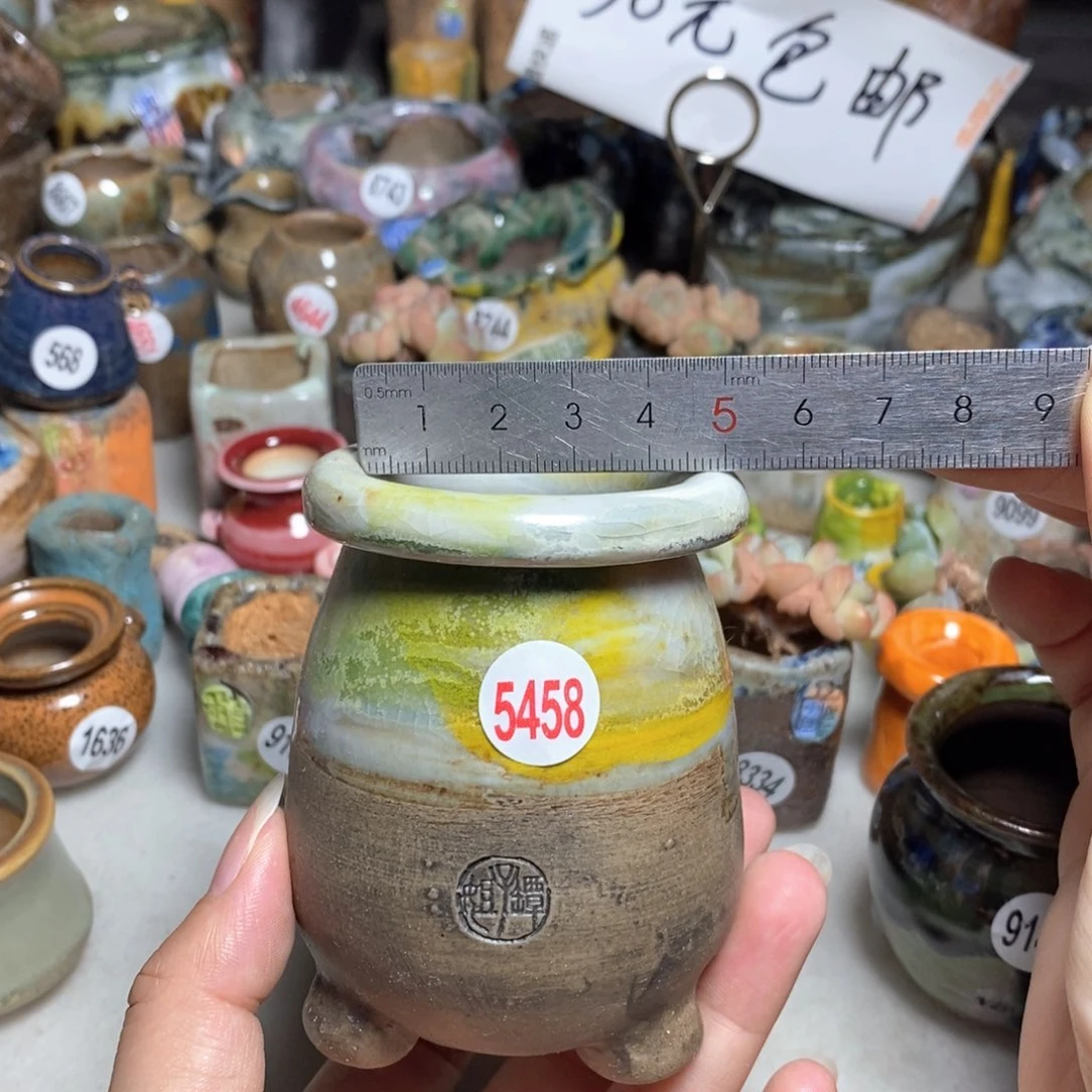 拍5送一个小礼物
