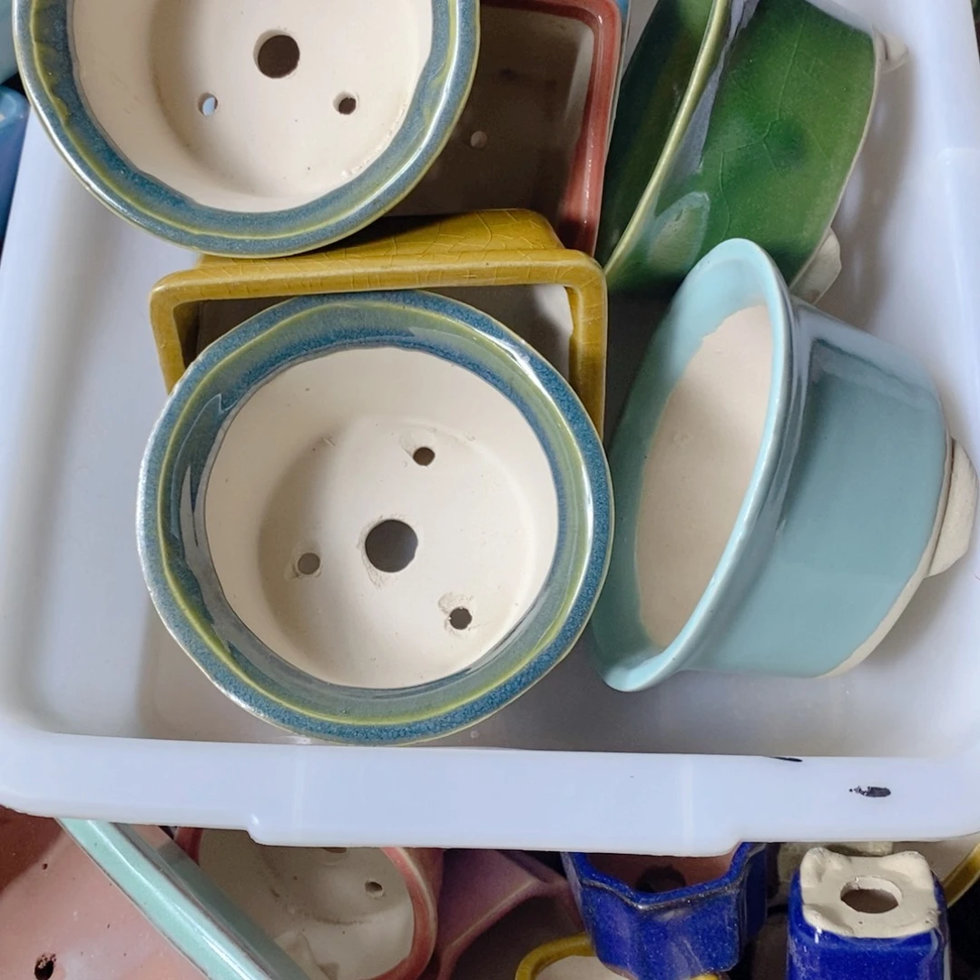 红陶富****沈这种继续继续经济学家