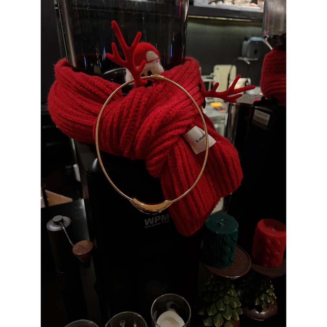 合金项链 合金项链 888#P01015新款“法式冷淡蛇骨”项链