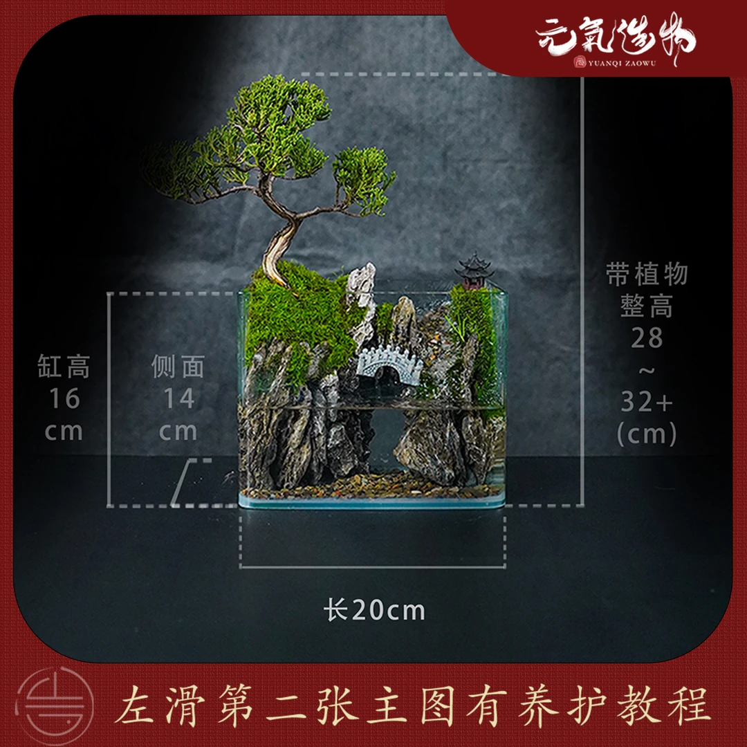 【雾隐】观道-问墨溪山—流水内循环济州真柏造景【尺寸：20*14*16】