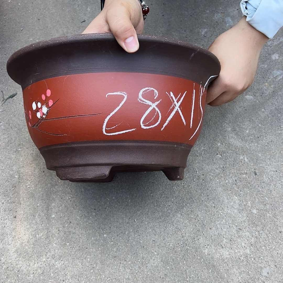 红富贵点彩大花盆