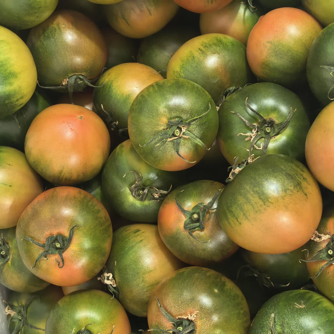 盐碱地现摘草莓铁皮柿子西红柿京东包邮