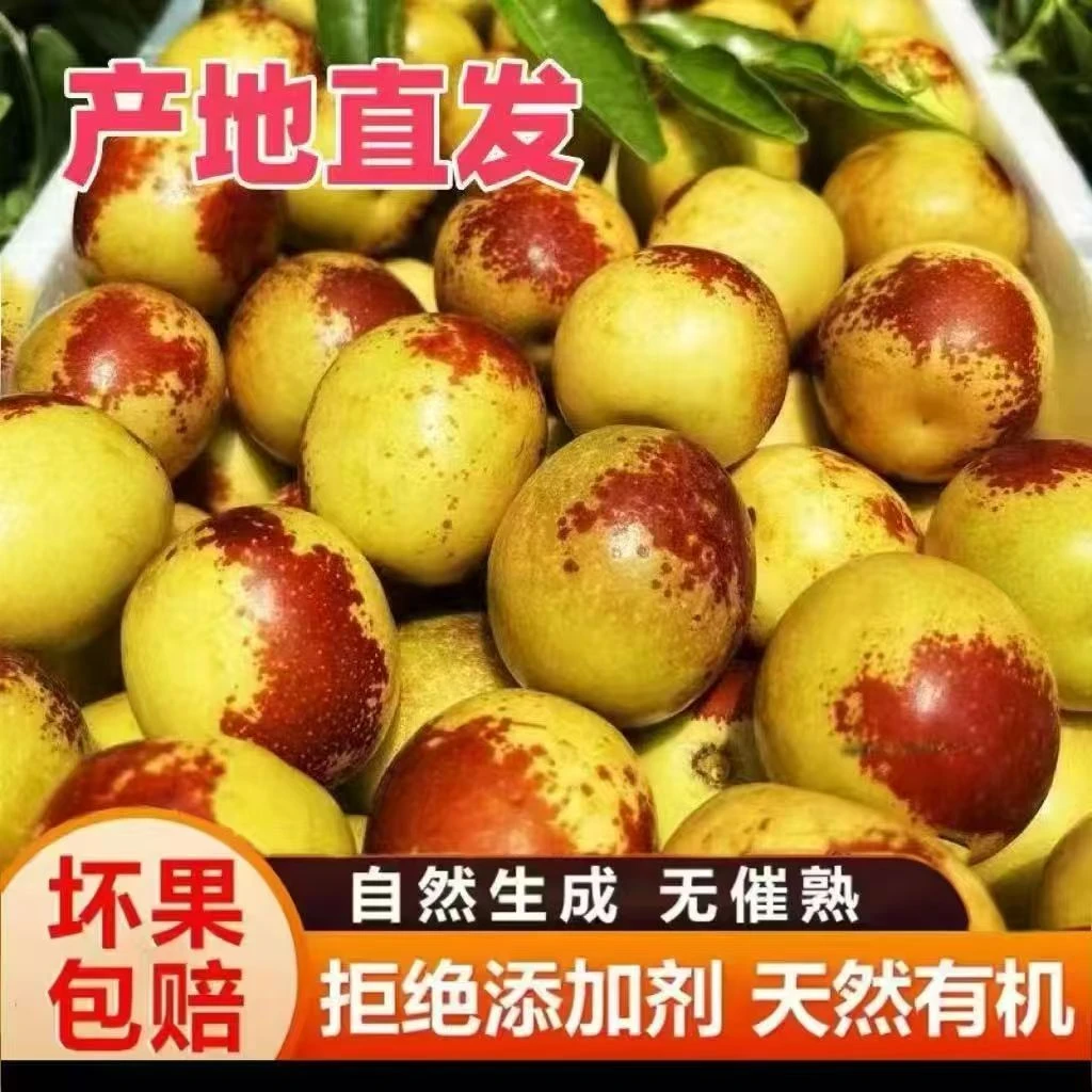 【现摘包邮】正宗现摘冬枣现发新鲜皮薄脆甜大枣孕妇水果冰糖枣