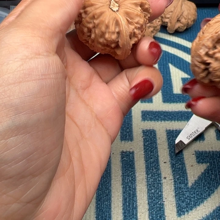 桃核吊坠文玩白狮子41