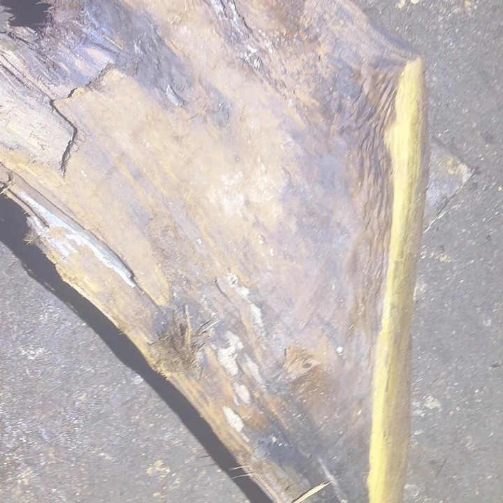 孟***辑乌木金丝楠毛料毛料