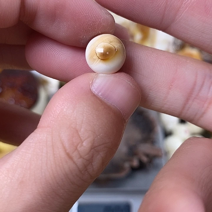 未镶嵌琥珀裸石我