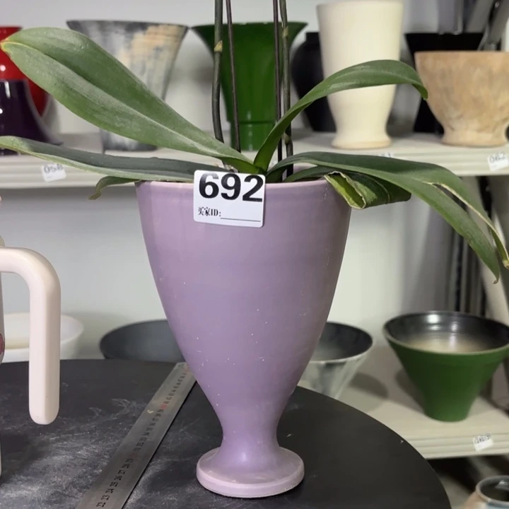 金***宝哦哦哦哦哦哦哦692