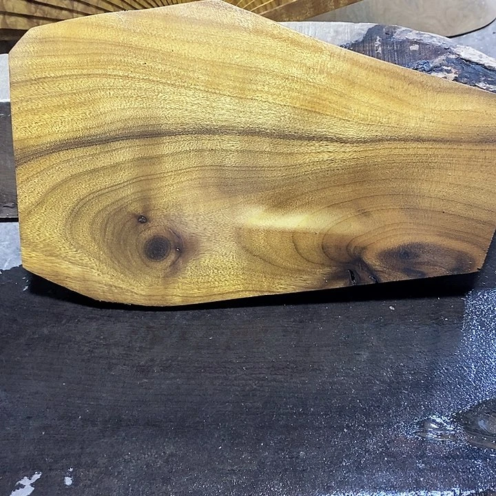 楠木金丝楠木小叶