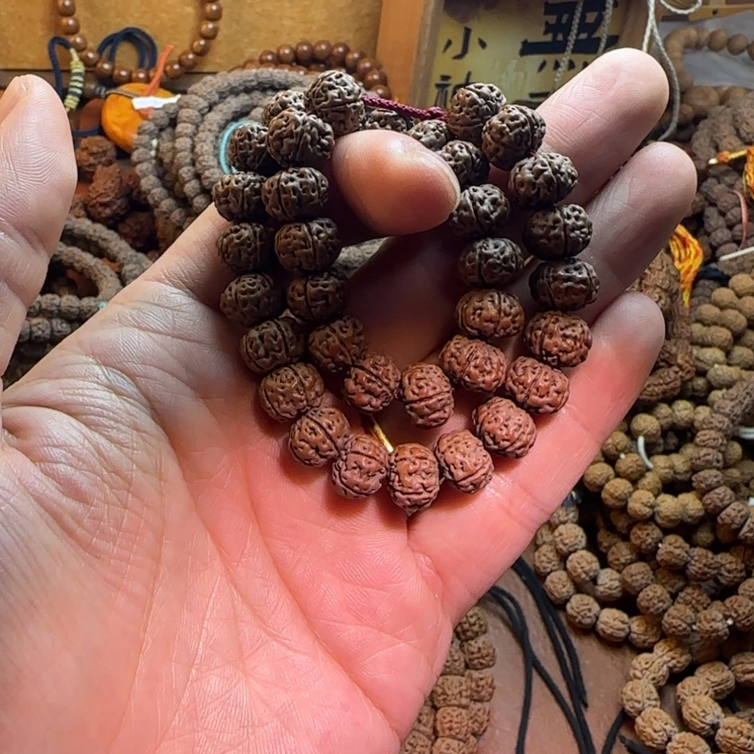 ****觉手串金刚菩提老树王