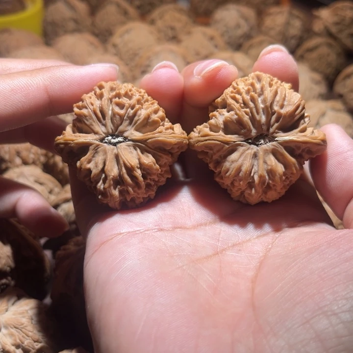 核桃手串/手链M***紫南疆42+尺寸尖有浮黄