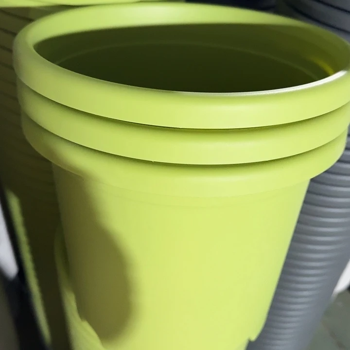 四季5号果绿无托10个特价