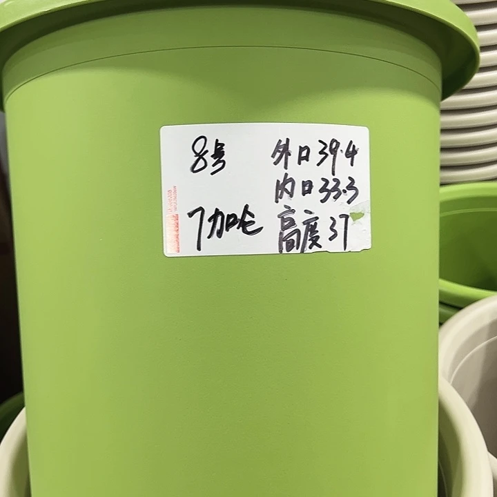 特价8号四季口39.4高37果绿无托3只