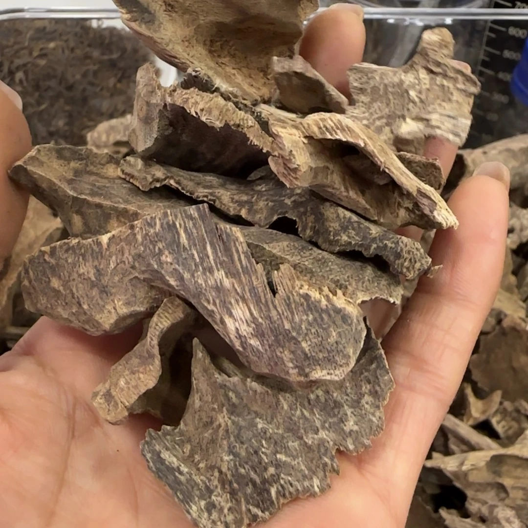 沉香木摆件芽庄沉香壳子块料30