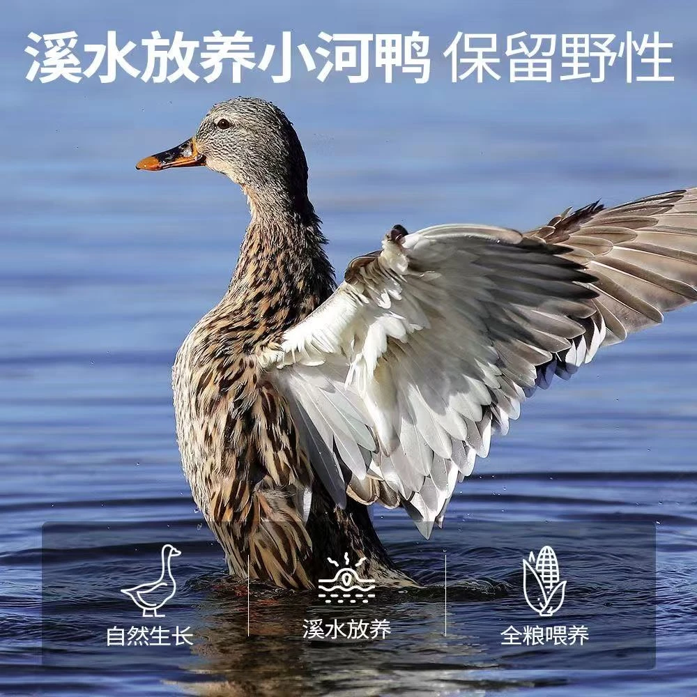 【杀好净重8-9斤】农村散养200天土鸭带爪翅带心肝2只毛重14斤顺丰S