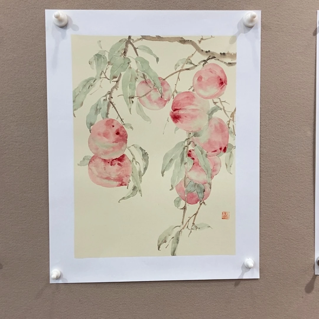 【闪购商品】国画道*墨鱼精品墨鱼精品