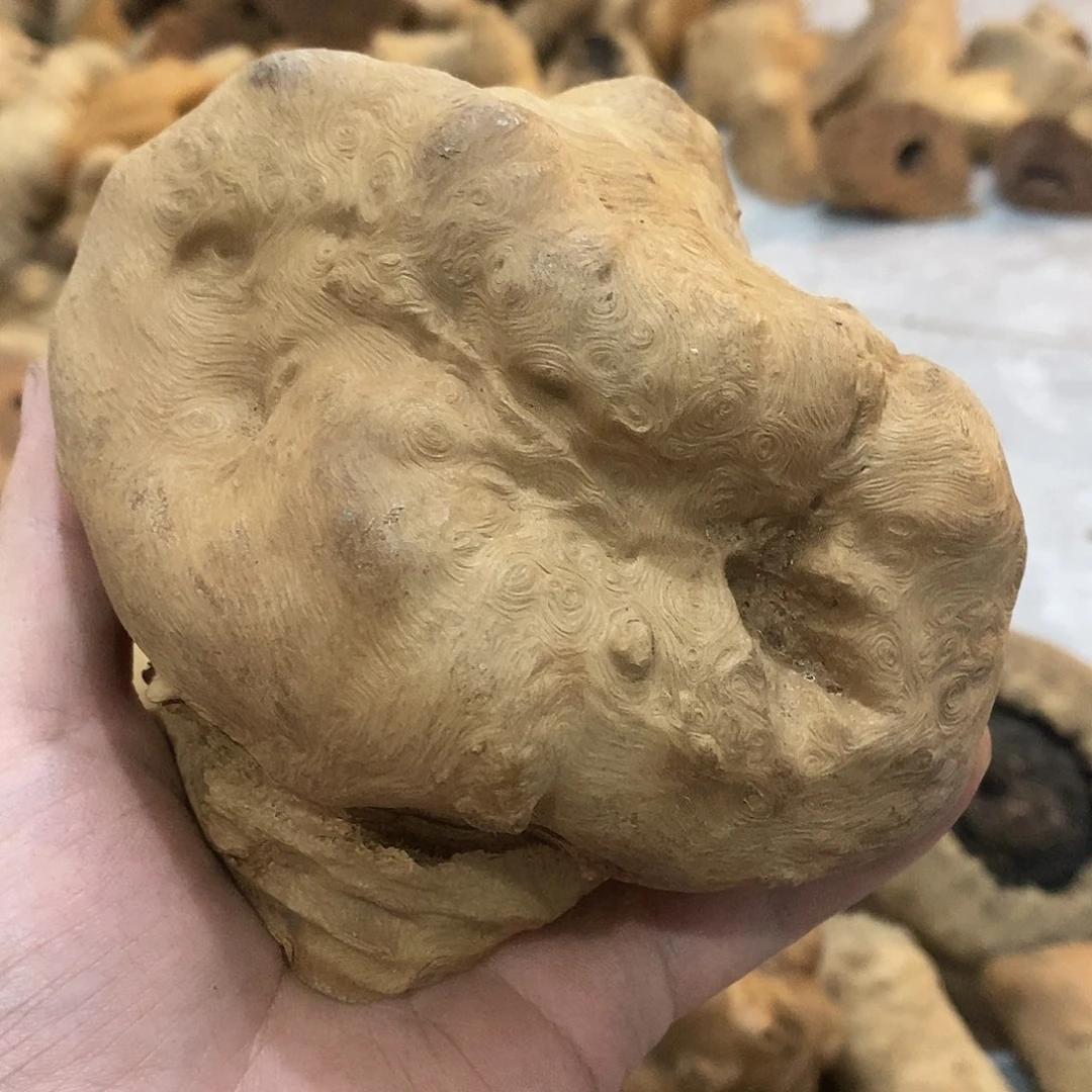 晋***萨荔枝木荔枝木原料