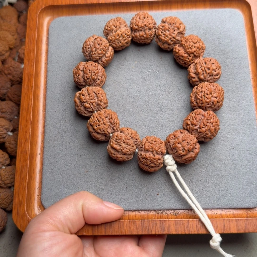 菩提菩提41号尼泊尔大金刚24深沟梅花