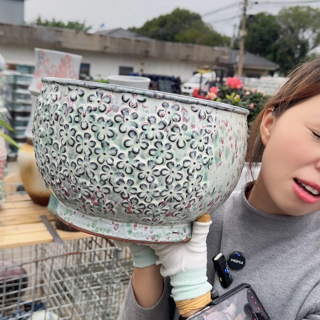 王嫂花盆直播1117-357高20口29