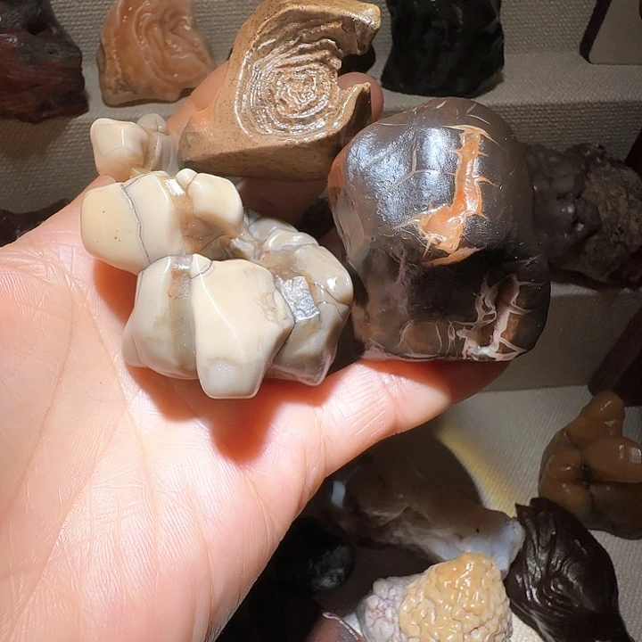 戈壁石用****9阿拉善奇石