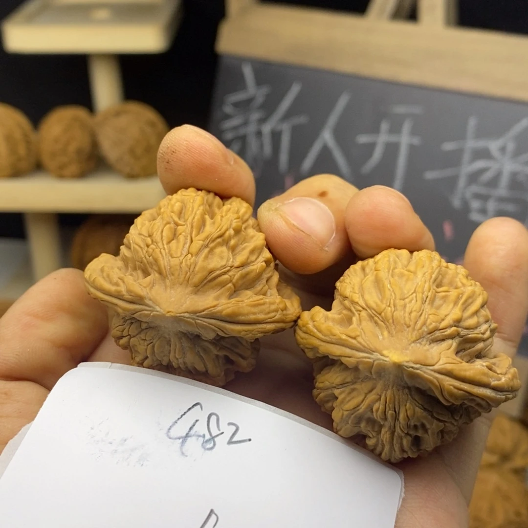 麦穗虎头39+一只有点黄尖