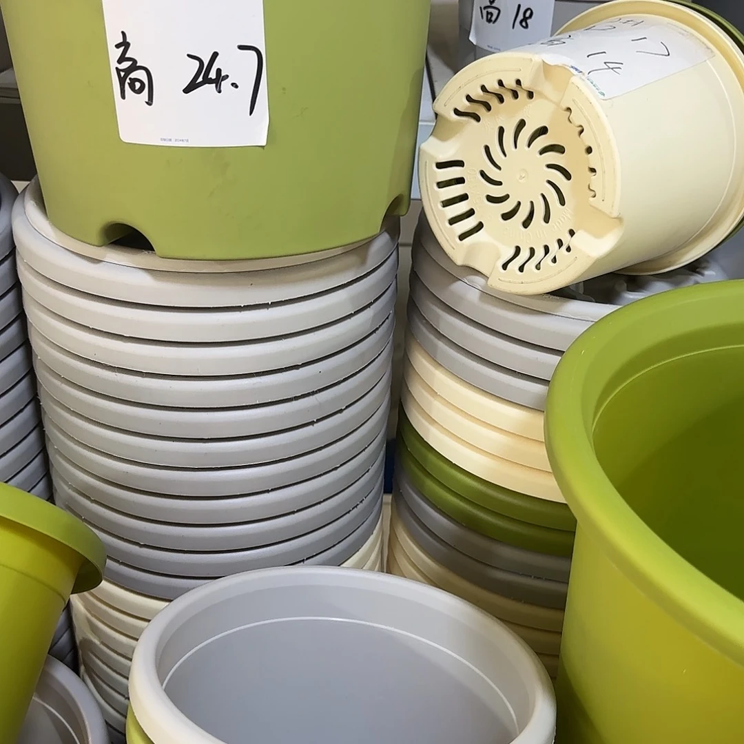 树脂四季8号无托3个白色