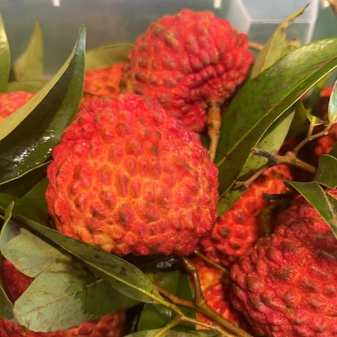 荔枝王5斤45（送货到家）荔枝同城送广东省