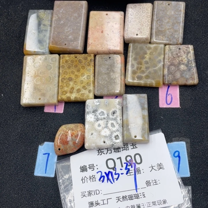 土***匪硅化珊瑚（珊瑚玉）合金颈饰