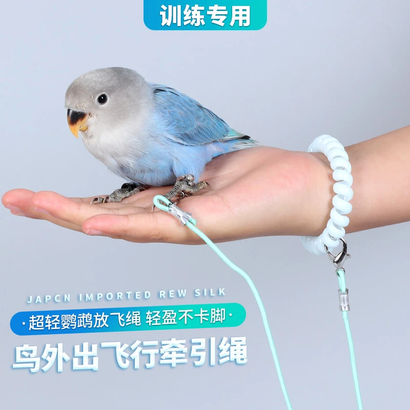 新款鹦鹉放飞绳不伤脚超轻训练虎皮玄凤八哥脚环脚链遛鸟飞行绳
